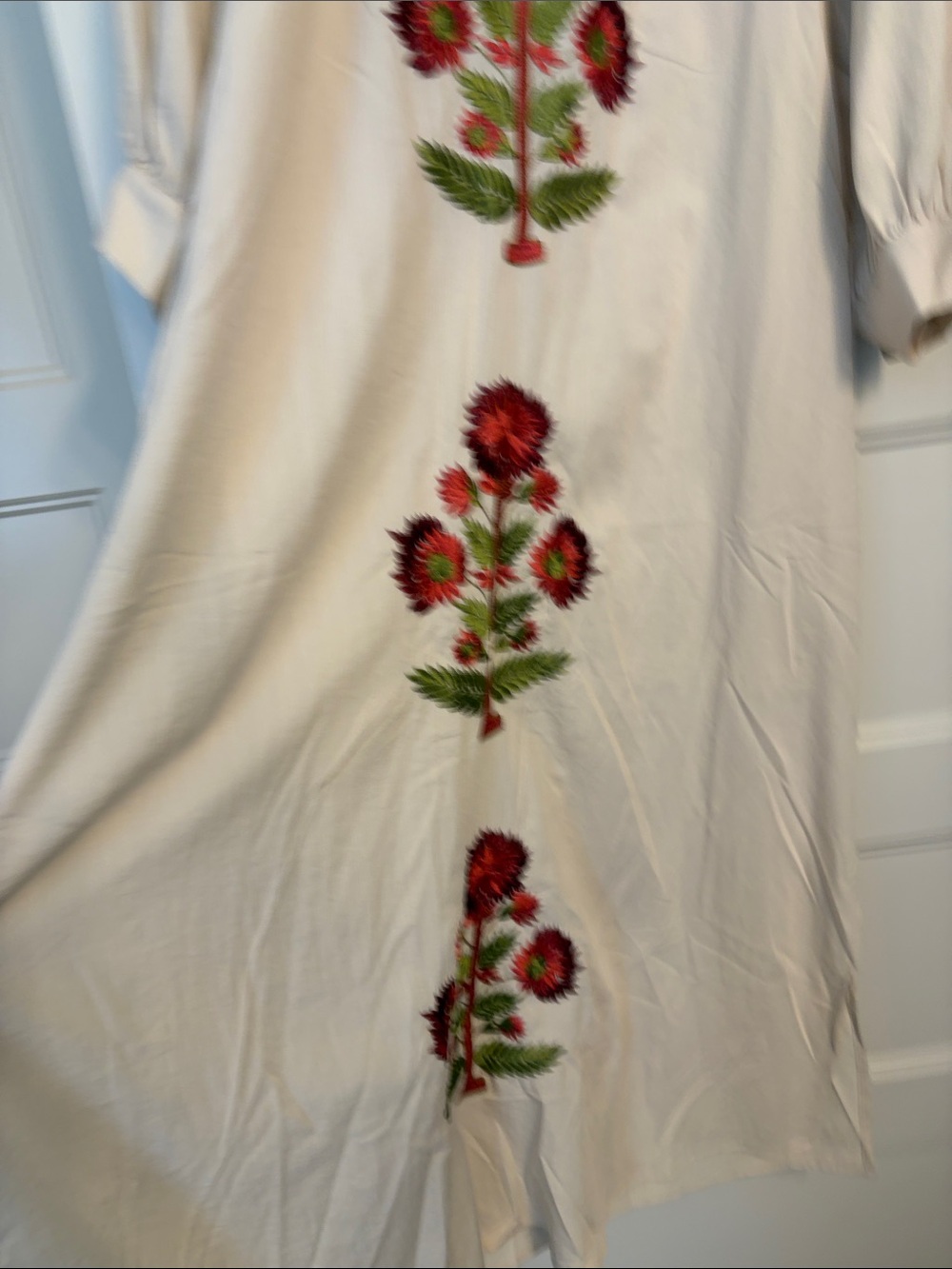 entro Cream Maxi Dress with Red Floral Embroidery - Picture 5 of 5